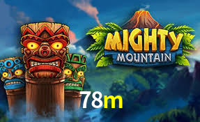 78m App Interface
